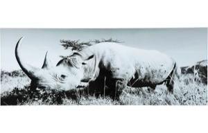 Картина Rhino 60x160cm