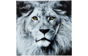 Картина Face Lion 80x80cm