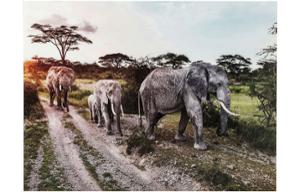 Картина Elefant Family 160x120cm
