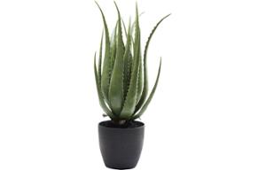 Деко растение Aloe 69cm