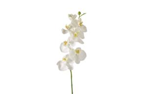 Изкуствено цвете орхидея фаленопсис  Fiore